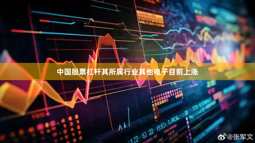中国股票杠杆其所属行业其他电子目前上涨